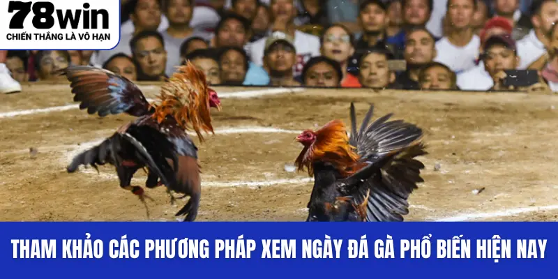 Tham khảo các phương pháp xem ngày đá gà phổ biến hiện nay